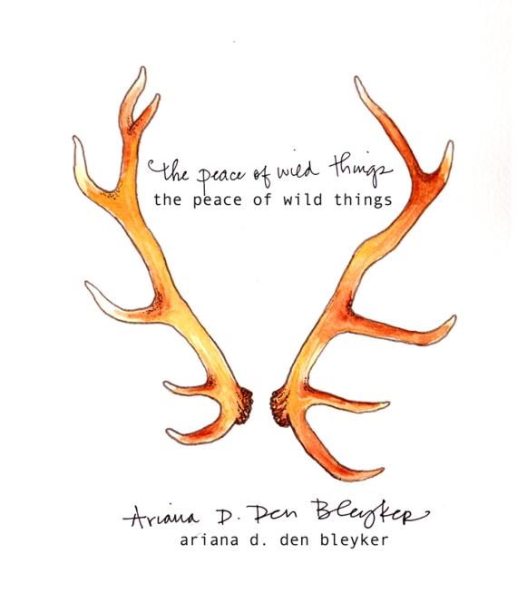 The Peace of Wild Things by Ariana D. Den Bleyker (cover: Jonathan Rountree & Nicci Mechler)