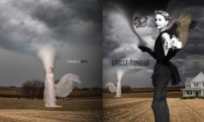 Ghost Tongue by Nicole Rollender (Cover art: Susan Yount)