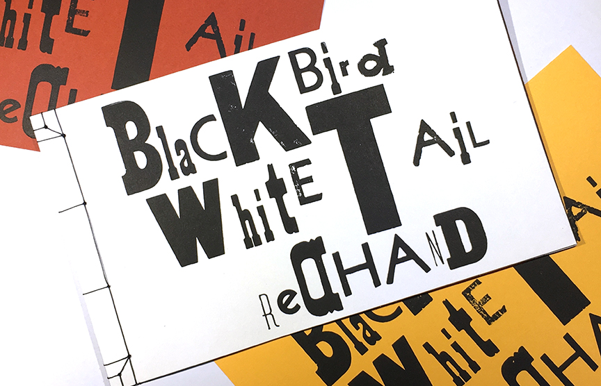 Blackbird Whitetail Redhand // Lindsay Lusby